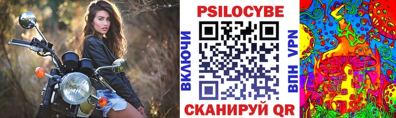 Галлюциногенные грибы Psilocybine cubensis  Алупка 